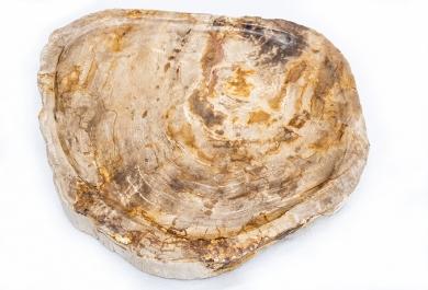 Pladenj Fossil Wood rjavi